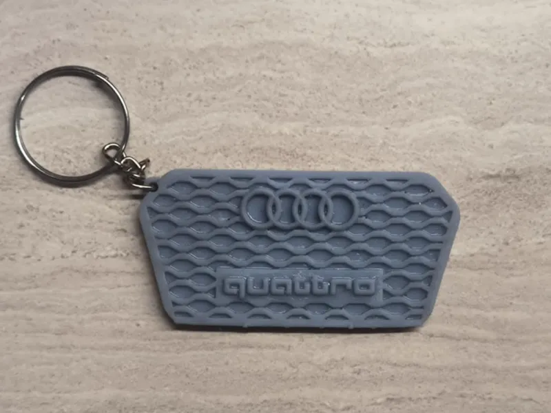 Audi keychain
