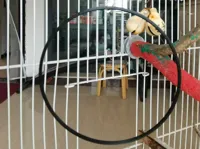 0.28mm 层高, 2 层墙, 15% 填充