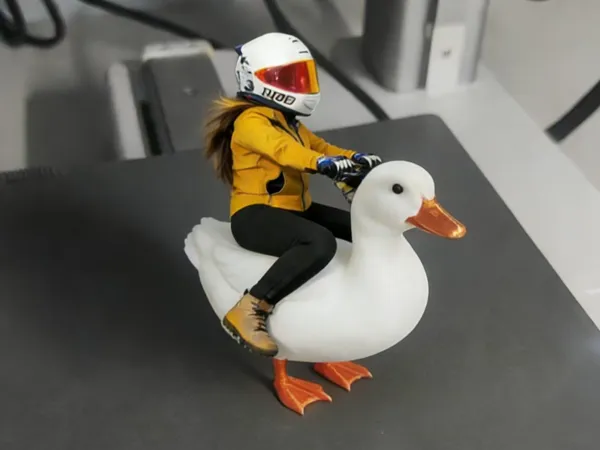 https://makerworld.bblmw.com/makerworld/model/US3b30b6be38f75d/design/86b908c7eae5270b.jpg