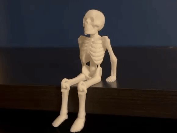 https://makerworld.bblmw.com/makerworld/model/US3b321df3caba1b/design/2025-09-22_5925a551743d2.gif