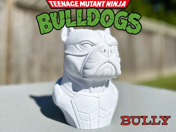 https://makerworld.bblmw.com/makerworld/model/US3b34ac64d4dbb7/design/2025-10-10_133ab4799b4c38.jpg