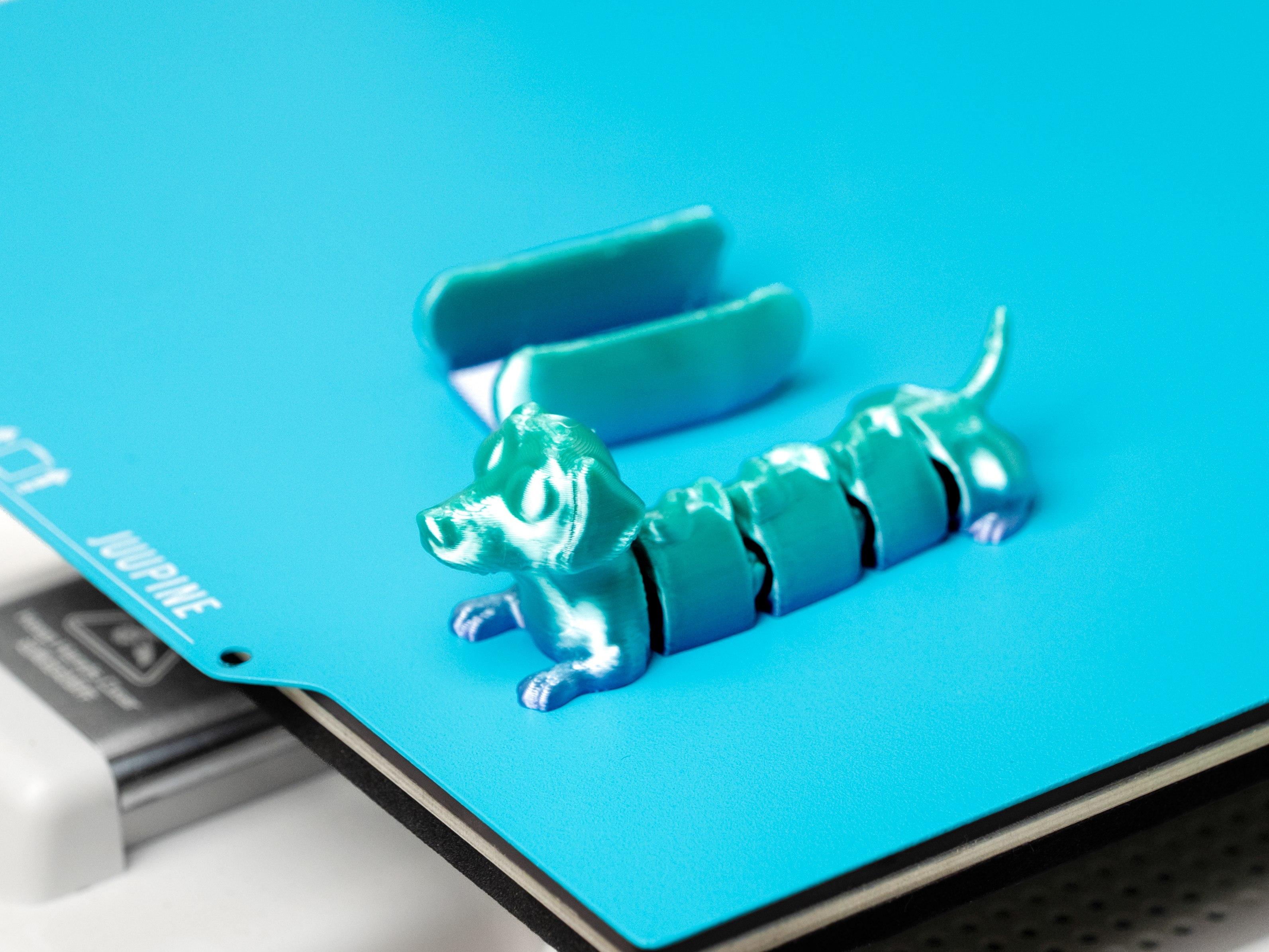 Flexi Dachshund - 1