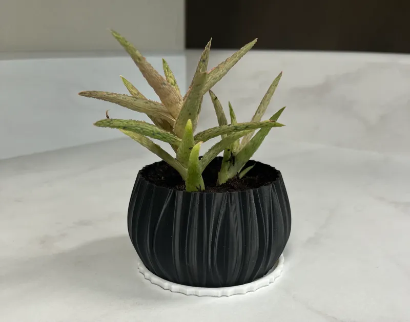 Wavey Plant Pot