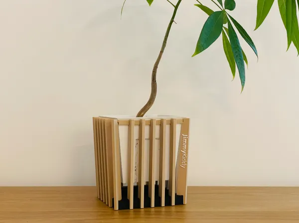 https://makerworld.bblmw.com/makerworld/model/US3b3e6484b82e49/design/2025-06-23_48dc418e5417b8.jpg