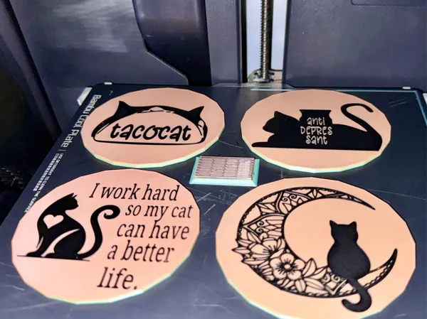https://makerworld.bblmw.com/makerworld/model/US3b3ee4c131c82a/design/2024-05-11_0cd24d0c85216.jpeg