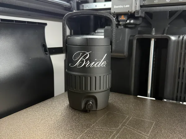 https://makerworld.bblmw.com/makerworld/model/US3b47e0ac97a75b/design/91f256c5a487da4f.jpg