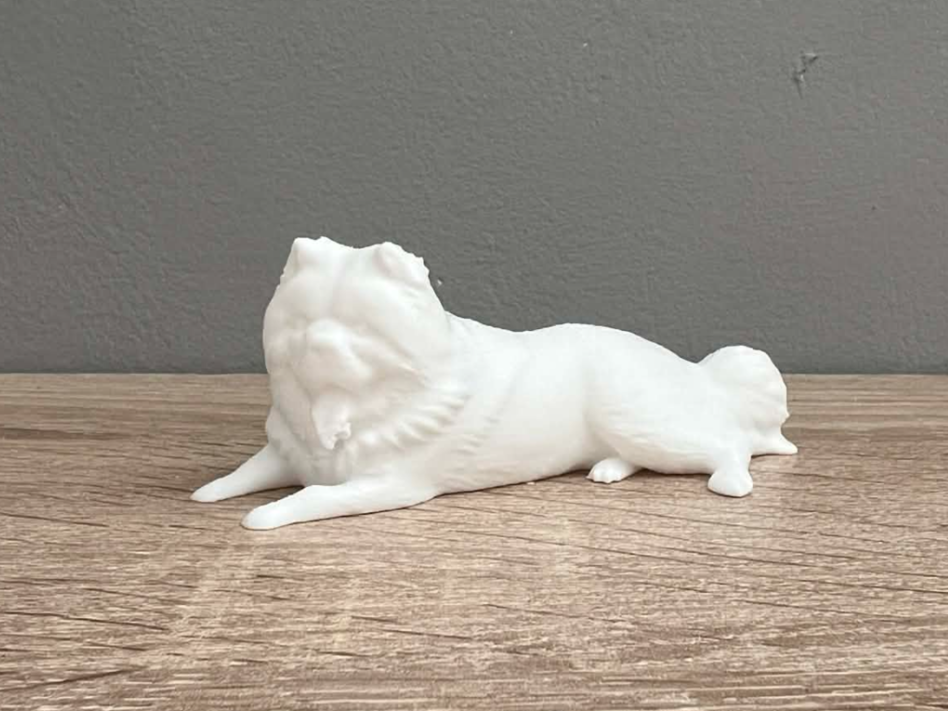 Chow Chow Dog - Animal - Decor