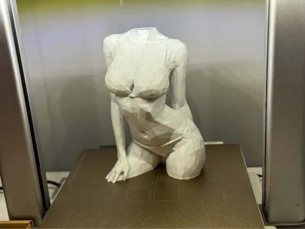 https://makerworld.bblmw.com/makerworld/model/US3b497d8fd3bdc2/design/2025-11-14_ea5747a062758.jpg