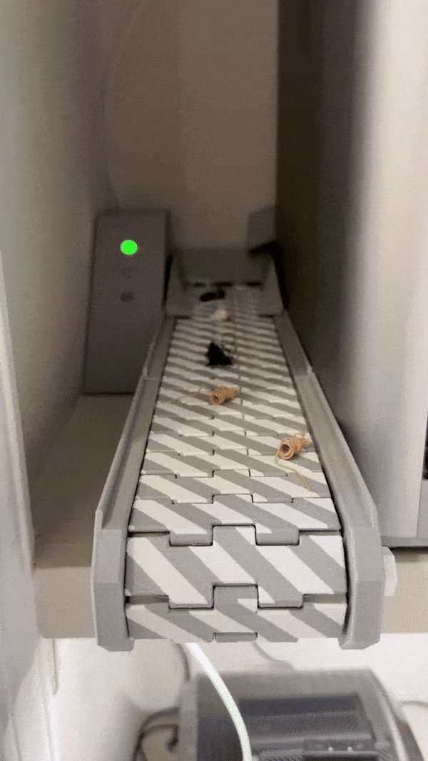 https://makerworld.bblmw.com/makerworld/model/US3b502816c1c4ed/design/2024-08-10_8778bfb968349.gif
