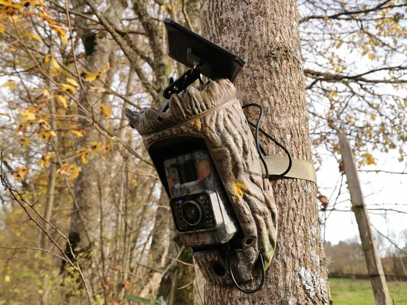 Trailcam Concealment Bark / Camouflage caméra