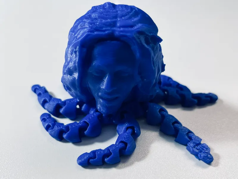 bob Marley octopus Rastapuss 