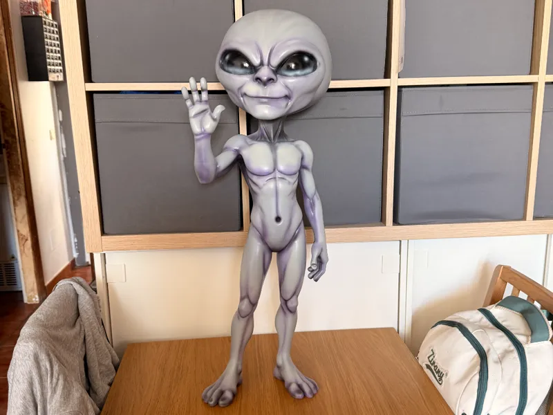 alien amigable