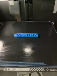 Porte-clés logo Nissan Sunny — photo 2