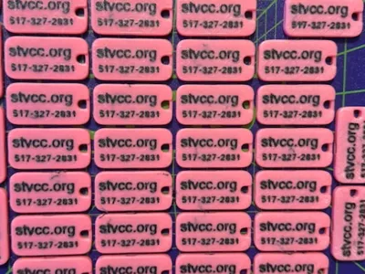 Michigan NoIce Whistle for STVCC.org