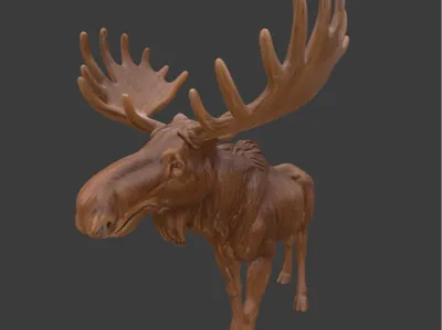 A realistic moose statue