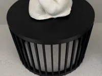 0.12mm layer, 2 walls, 8% infill