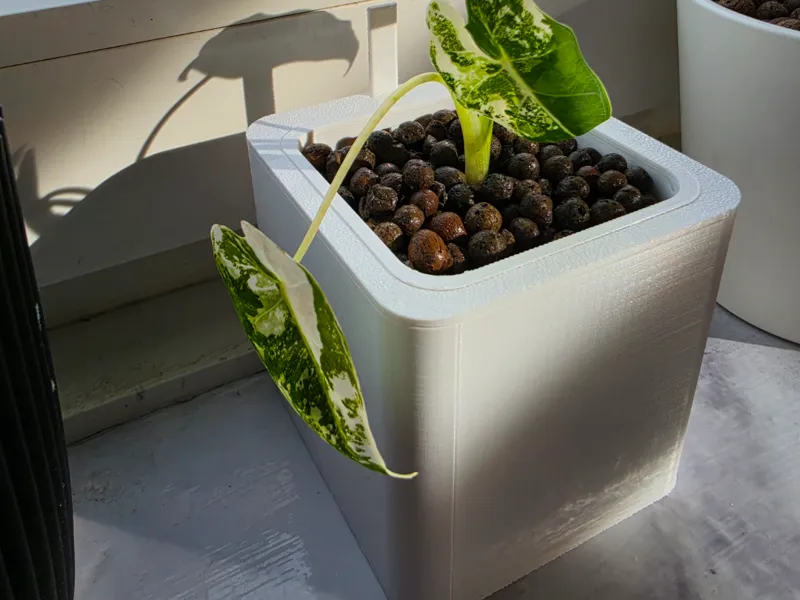 Hydro Square | Single 7cm (2.8 Inches)