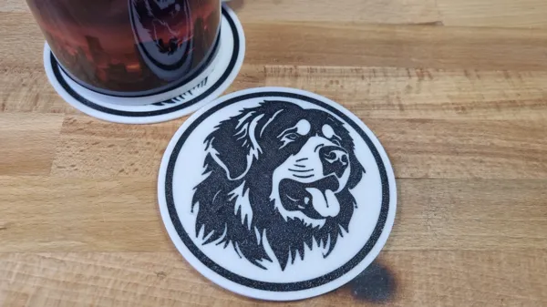 https://makerworld.bblmw.com/makerworld/model/US3b720d699167fd/design/2024-04-30_a10ae90700d3a.jpg