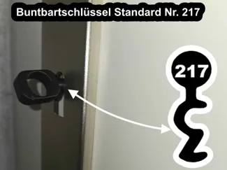 Buntbartschlüssel Standard Nr. 217