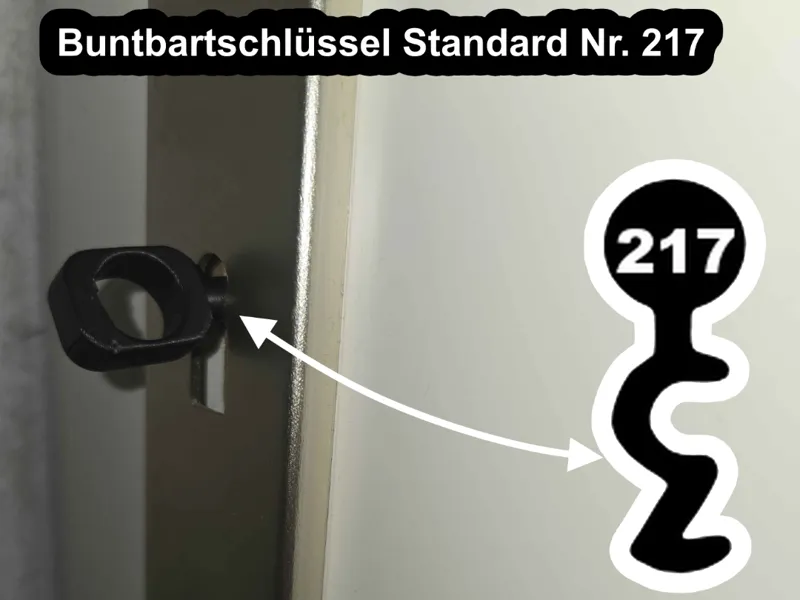 Buntbartschlüssel Standard Nr. 217