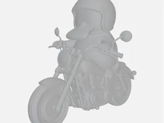Psykokwack motard 