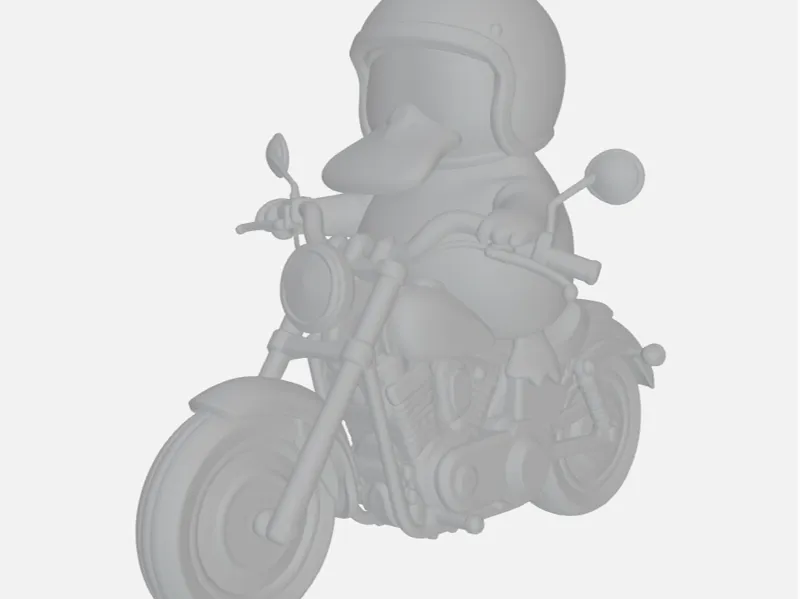 Psykokwack motard 