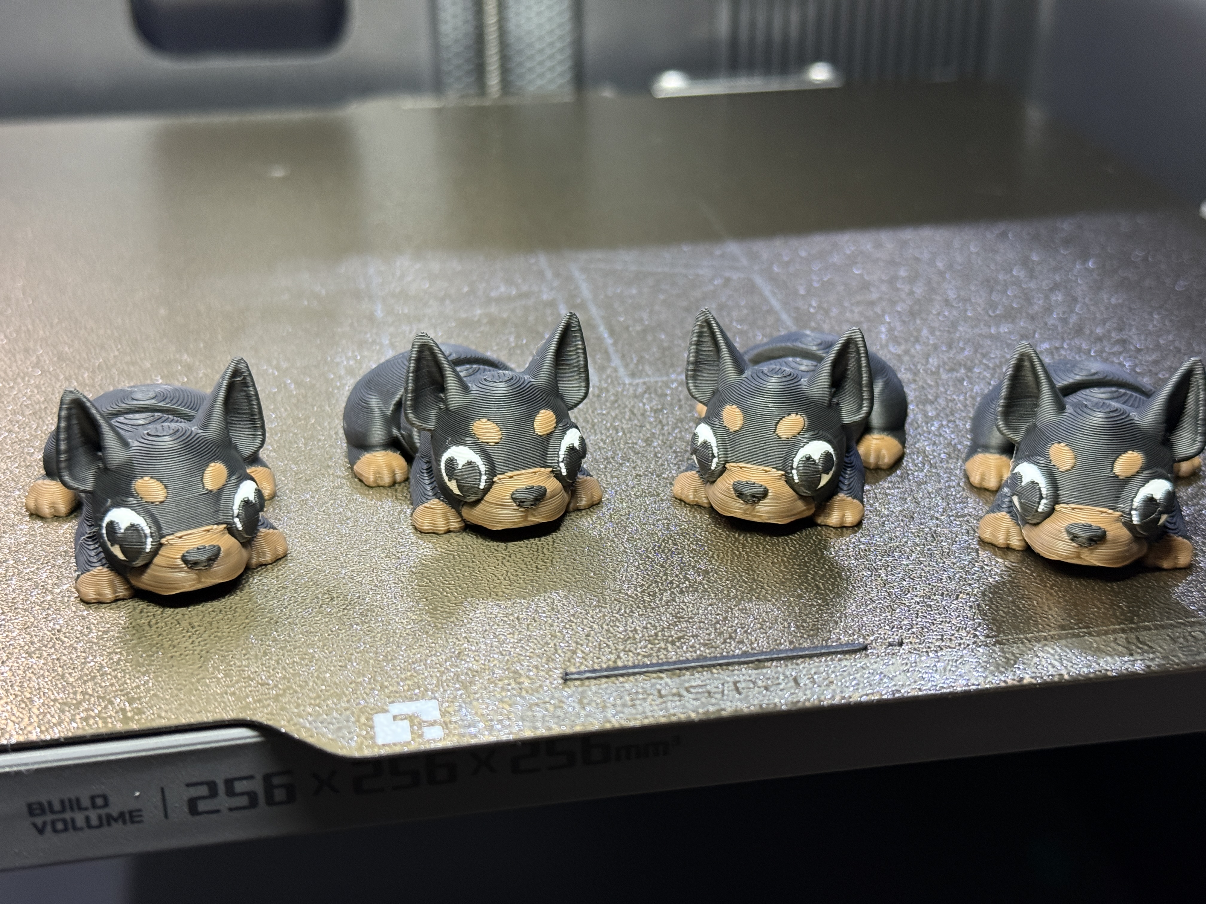 Miniatura 1 do modelo 3D Flexi Mini Doberman 