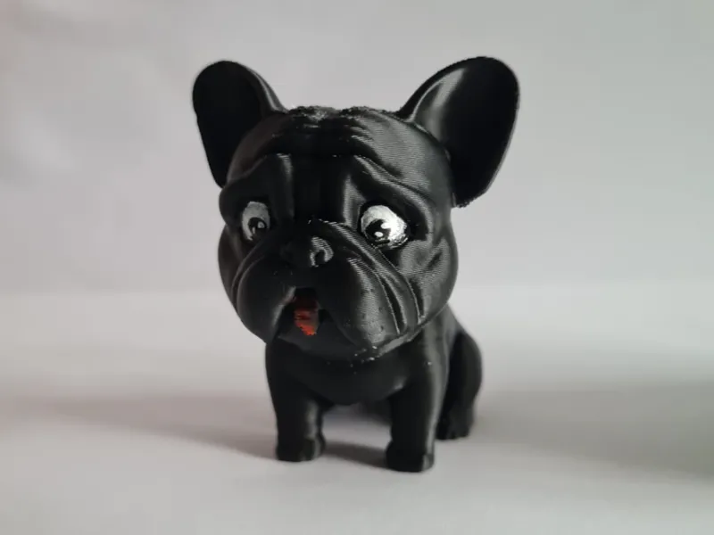 cute french bulldog