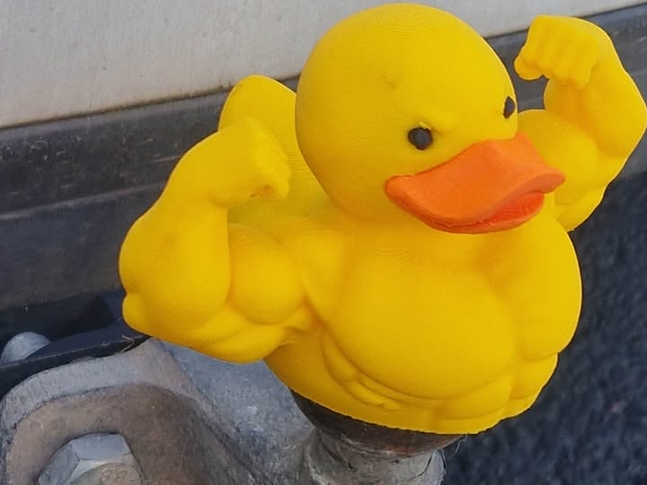Gym Duck Tow Ball Cover, Hitch Ball Cover