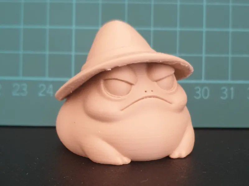 Grumpy Chonky Toad Wizard