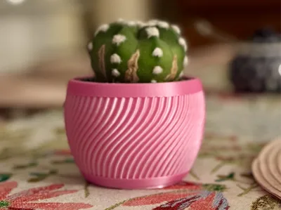 Cactus or Succulent Decorative Pot