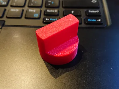 Tool for Tissot Decagonal Screw Back Case