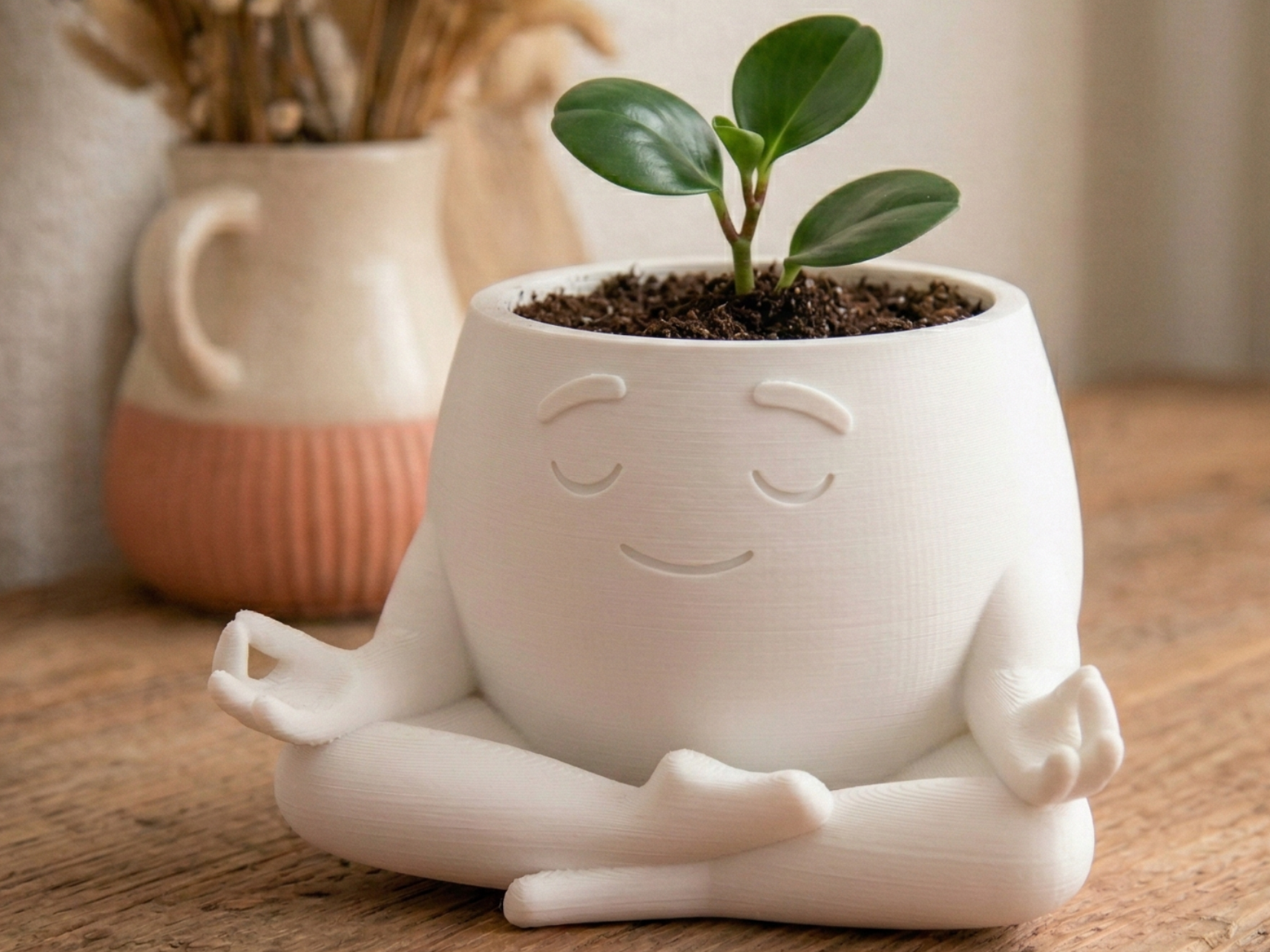 "Zenny" - Meditating Planter & Vase