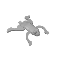 Grenouille sauteuse — photo 2