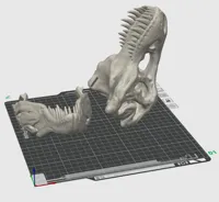 Crâne de T-Rex — photo 2