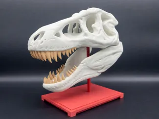 T-Rex Skull