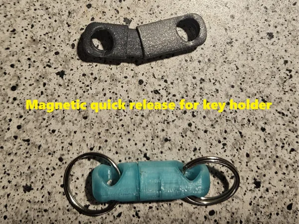 https://makerworld.bblmw.com/makerworld/model/US3b8de826559acb/design/2025-02-15_29f5609d83673.jpg
