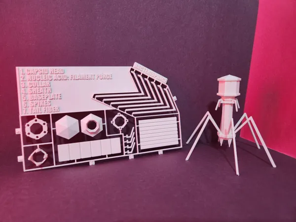 https://makerworld.bblmw.com/makerworld/model/US3b9159aa791a19/design/2024-07-31_e7f6d5b00b48d.jpg