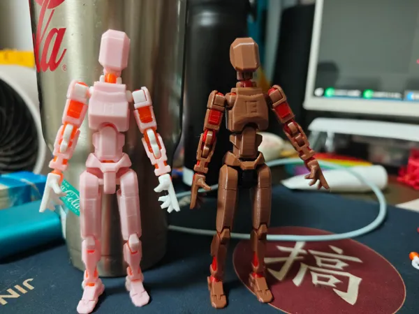 https://makerworld.bblmw.com/makerworld/model/US3b934ea1b03c5f/design/2025-01-22_32da1d8e2e2a1.jpg