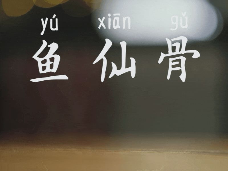 Fish Wish Bone – Shanghainese Table Game Remake