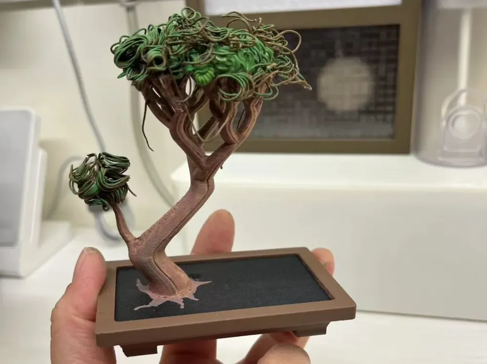 zürgelbaum bonsai First Bonsai Set – Hackberry (Zürgelbaum) – Abeona main image 0