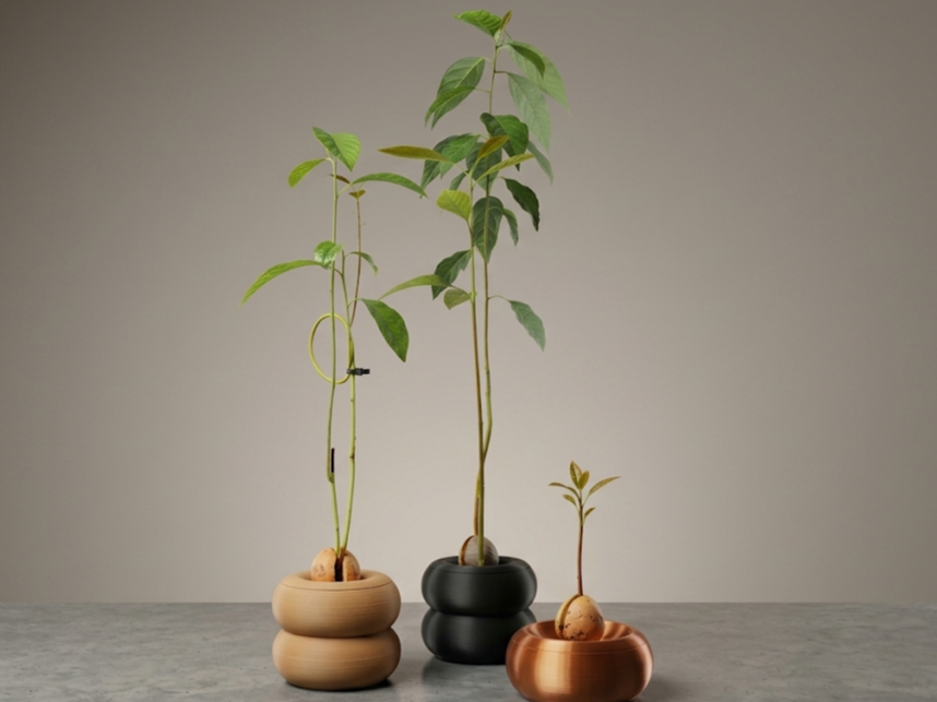 Avocado Planter Pot