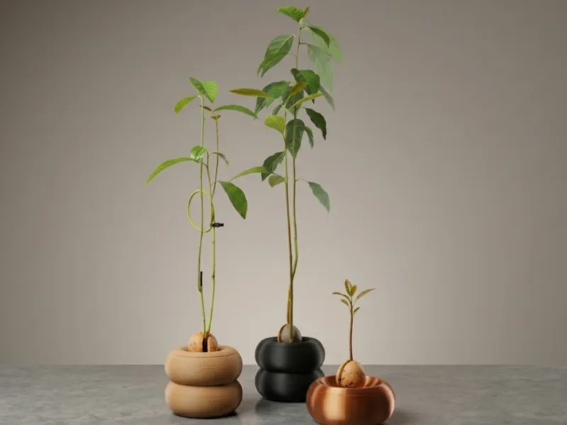 Avocado Planter Pot