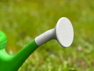 Watering Can Spout