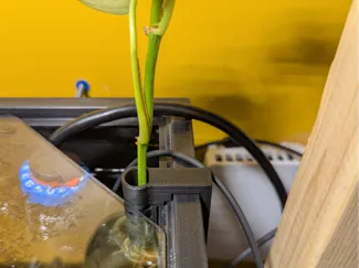 Pothos hanger for framed aquariums
