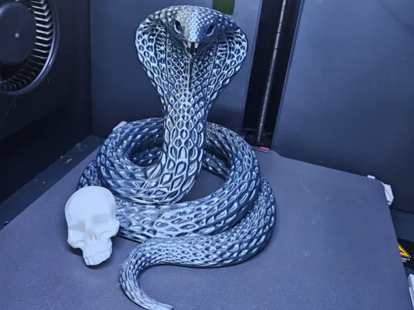 https://makerworld.bblmw.com/makerworld/model/US3baaeebda7881d/design/271a199921469db3.jpg