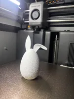 0.2mm layer, 2 walls, 5% infill