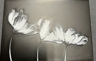 HueForge Flower black and white