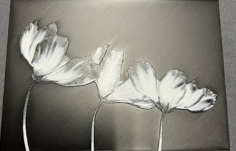 HueForge Flower black and white