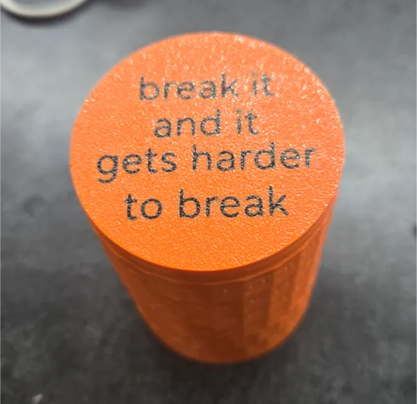 https://makerworld.bblmw.com/makerworld/model/US3bb1901adc2704/design/2024-12-04_47b84bab7a019.jpg